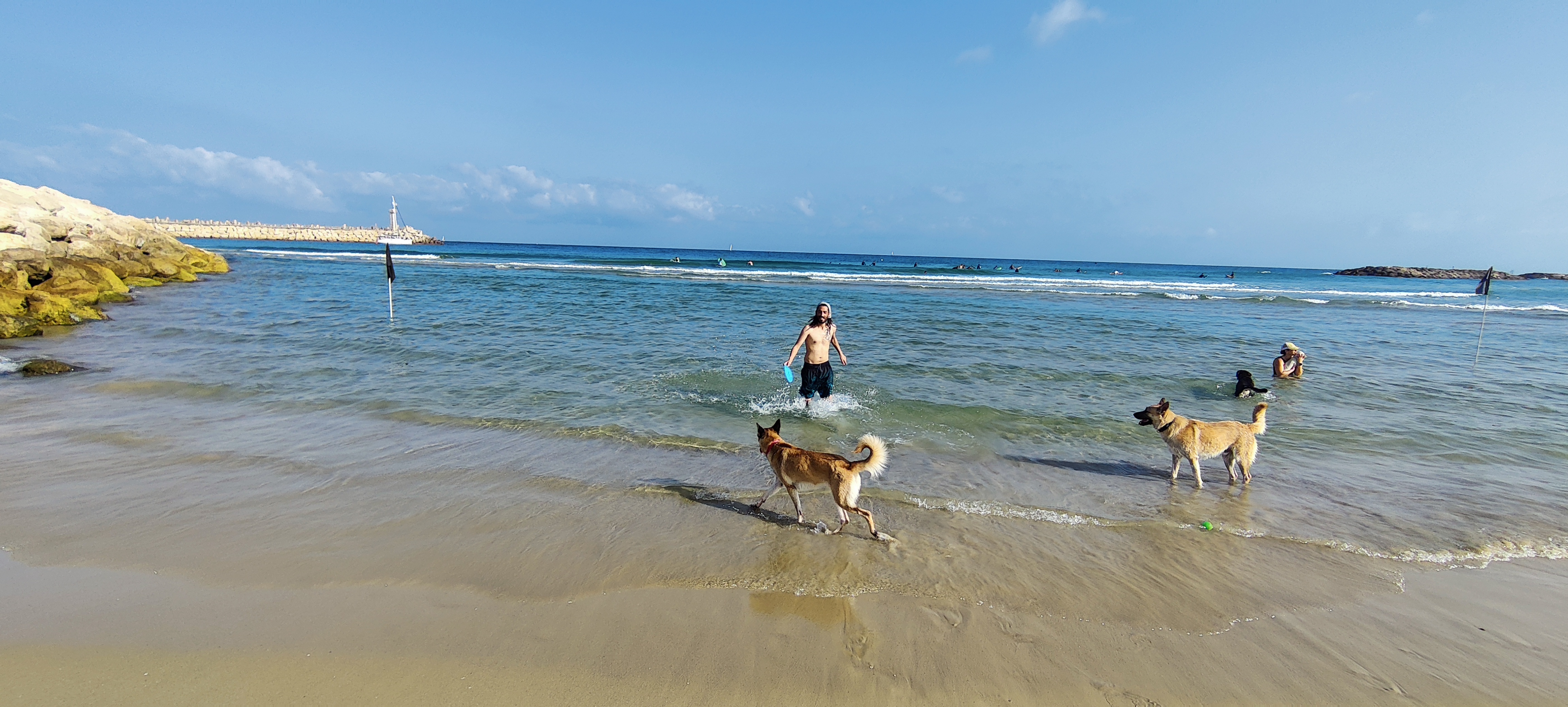 אסף מחבק כלבה בחוף – קשר ואמון בתהליך האילוף