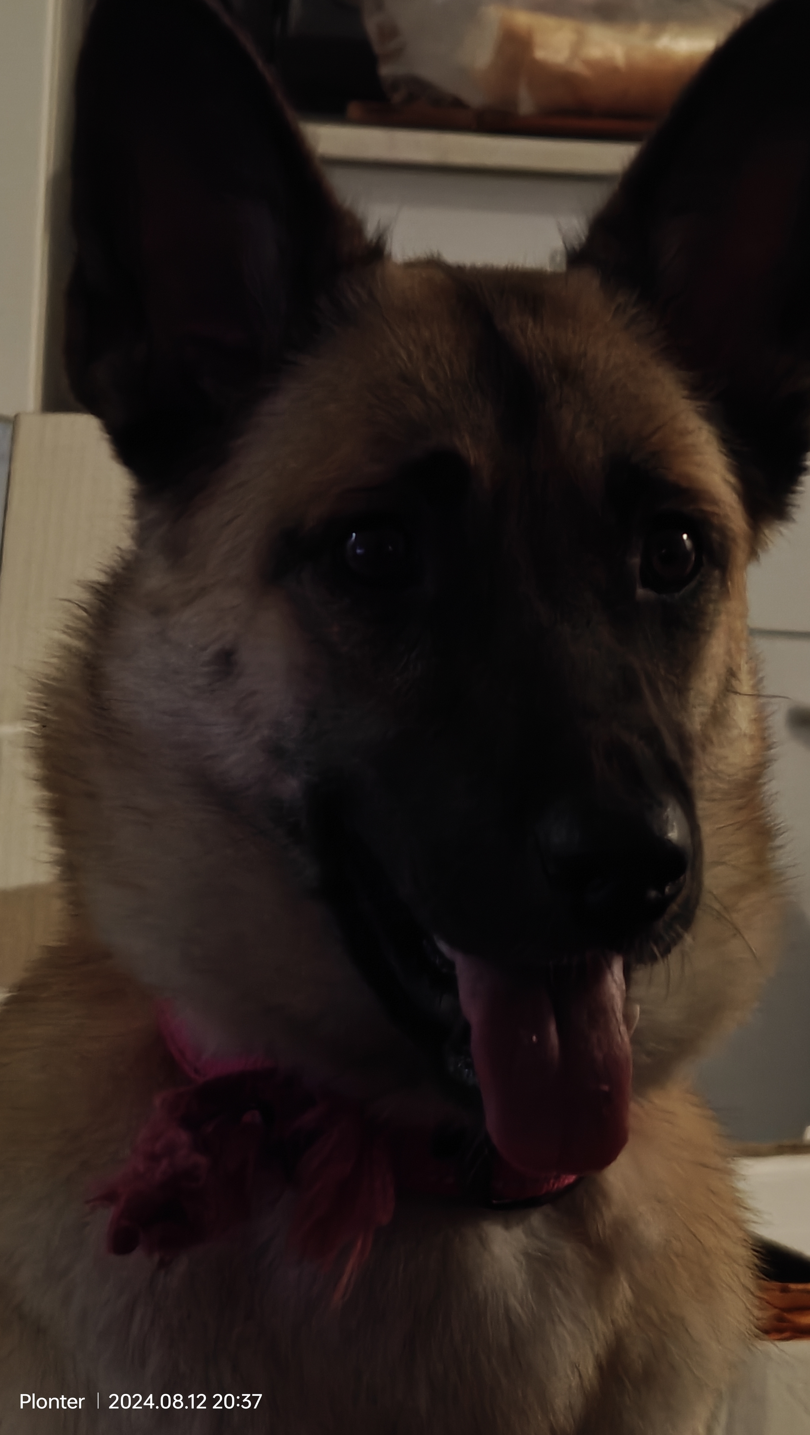 כאוס – מבט ממוקד במהלך תרגול