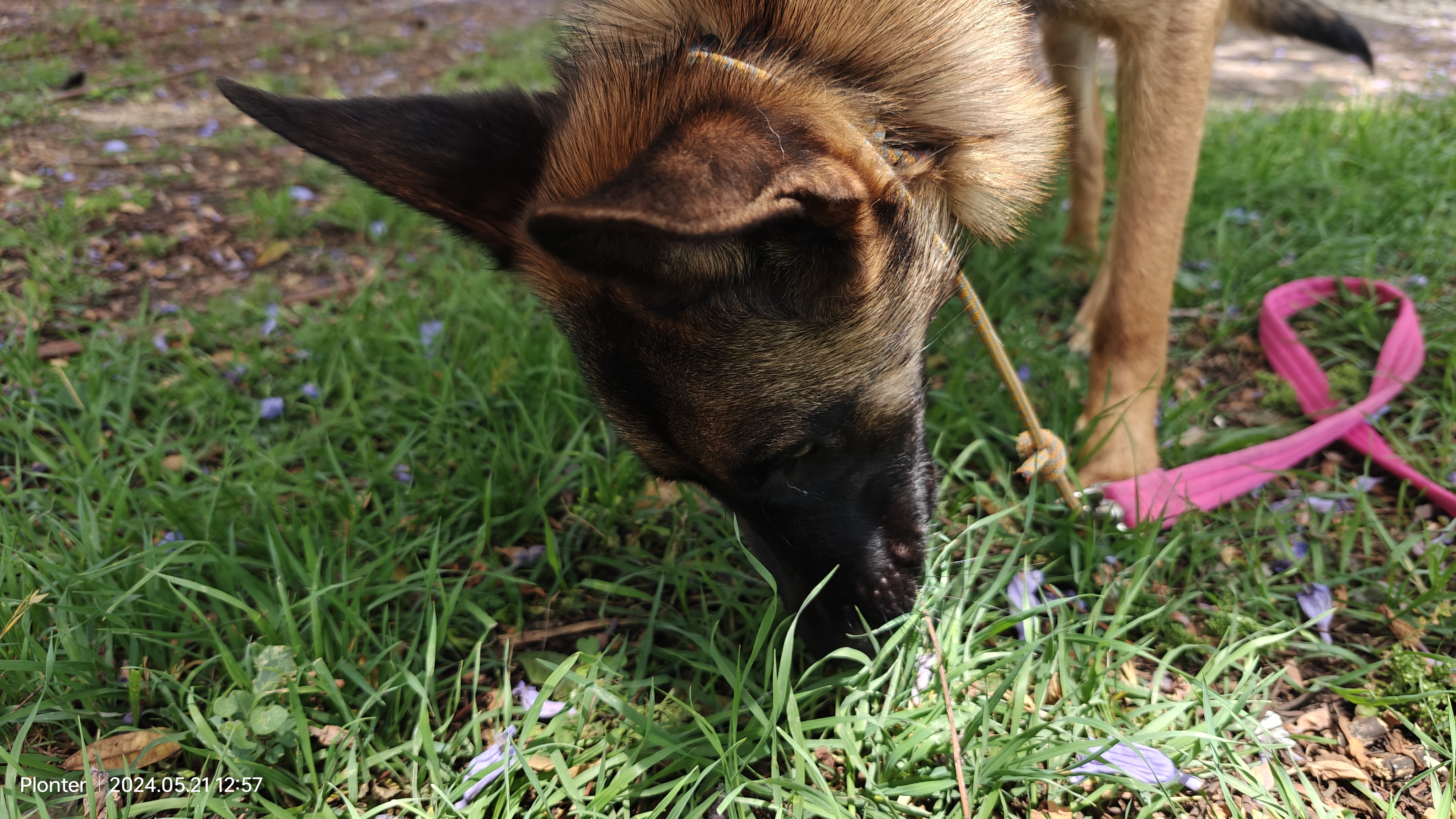 לאבלי על הדשא – תרגול רוגע במרחב פתוח