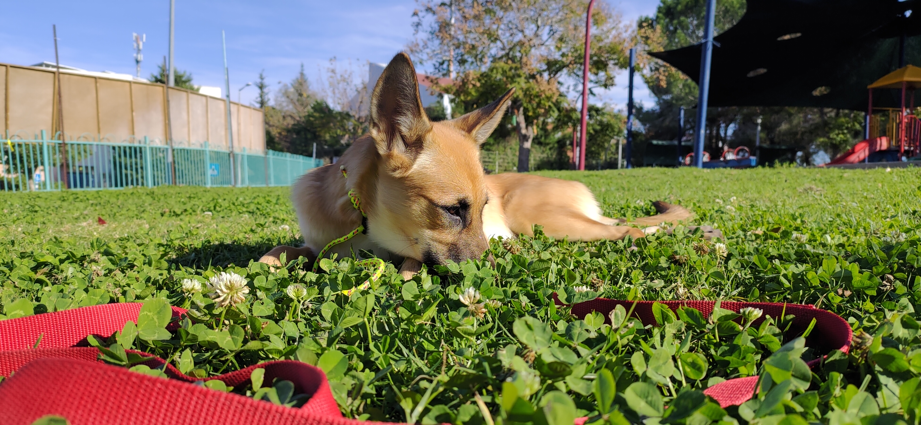 נובה מדגמנת – עבודה רגועה מול מצלמה