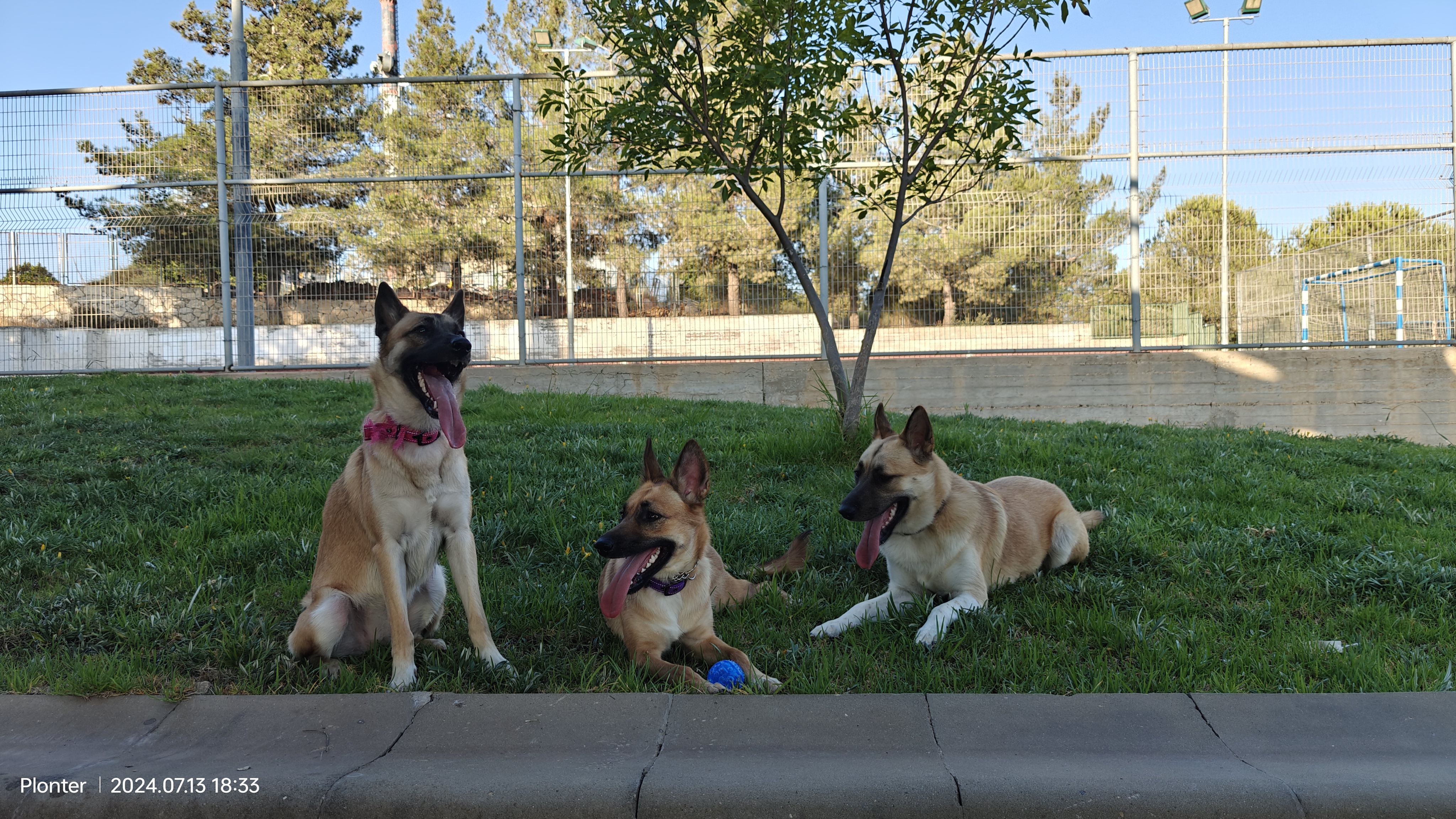 האחים על הדשא – תרגול יחד ובנפרד